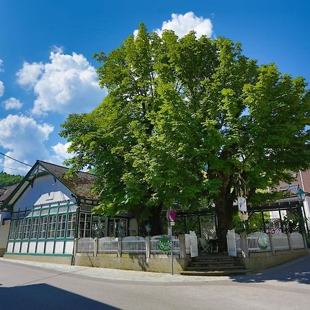 Apartment Welser Ybbsitz Exterior foto